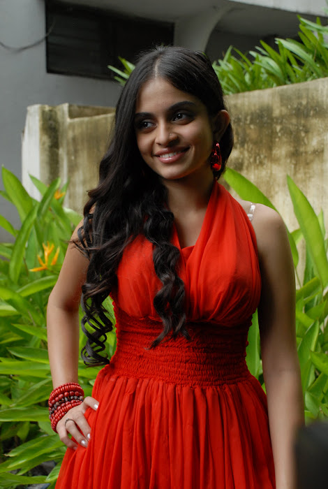 sheena shahabadi shoot red dress photo gallery