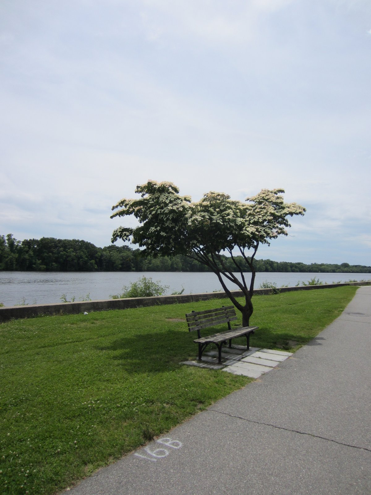 On The Loose To Climb A Mountain Lowell Heritage State Park