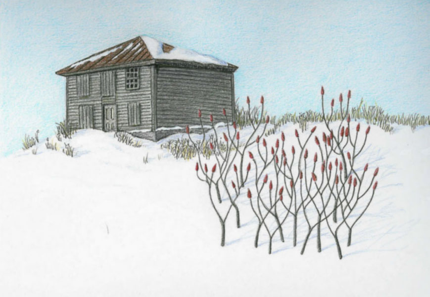 Ronna's Blog: Drawing Old Houses