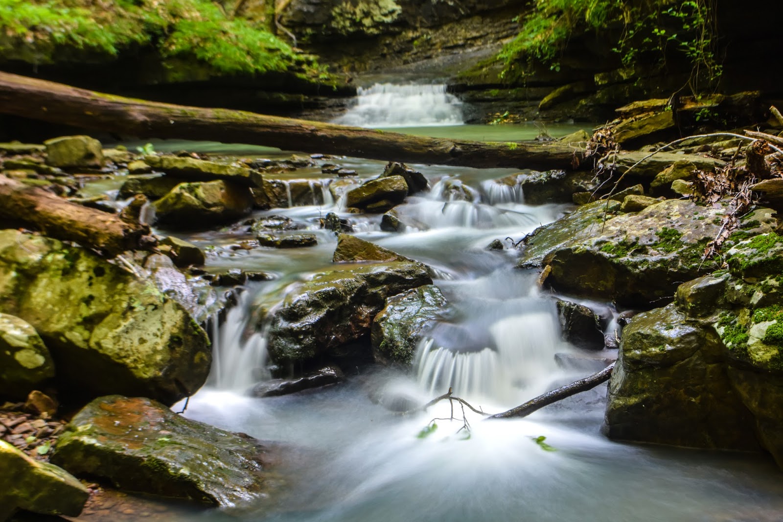 Rick's Hiking Blog Lichen Falls and Lynn Hollow Falls, Ozark Highlands