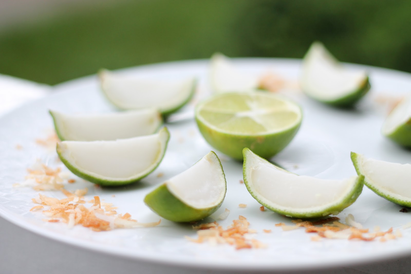That's so Michelle... Lime in the Coconut Jello Shots