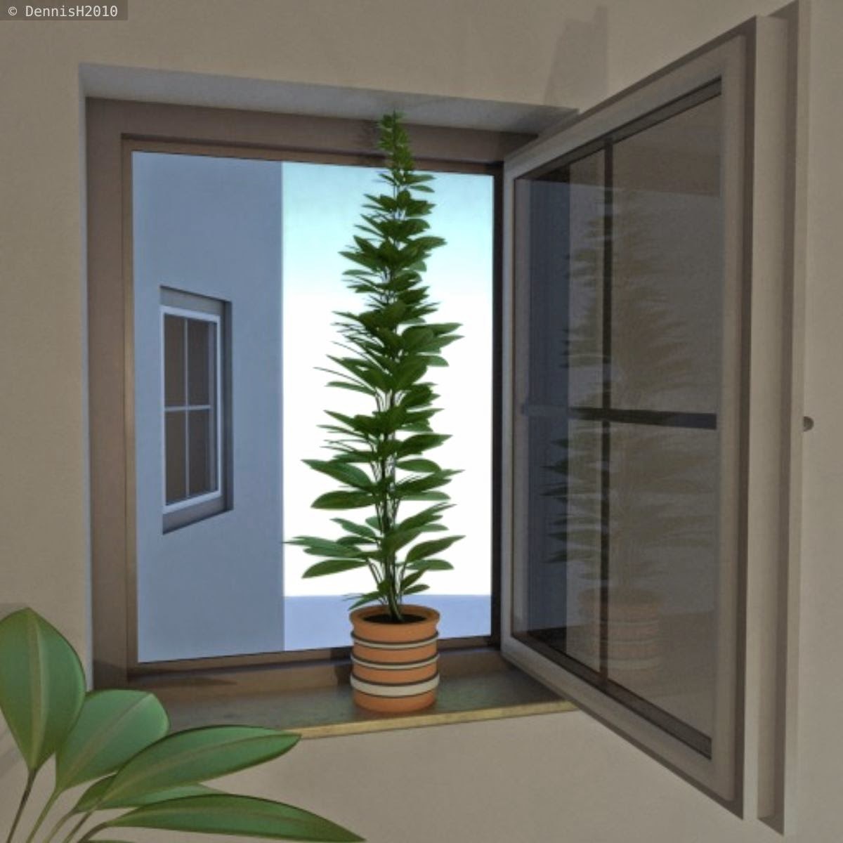 Window Plant by DennisH2010