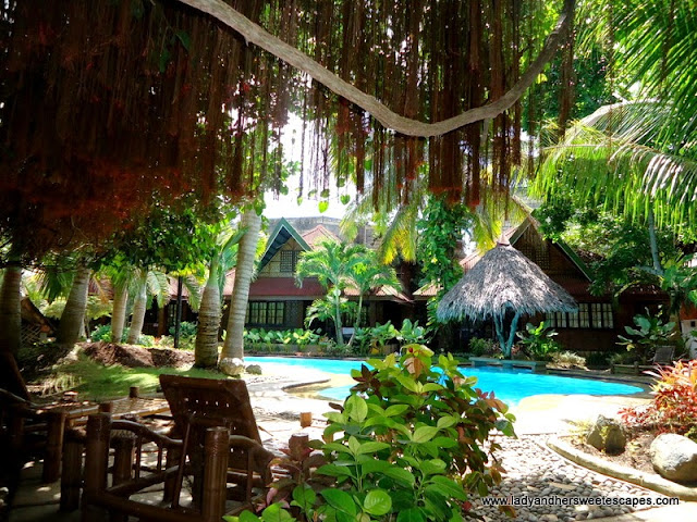 pool at Alona Tropical Beach Resort Bohol