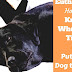 Animal Euthanasia - Putting Down A Dog