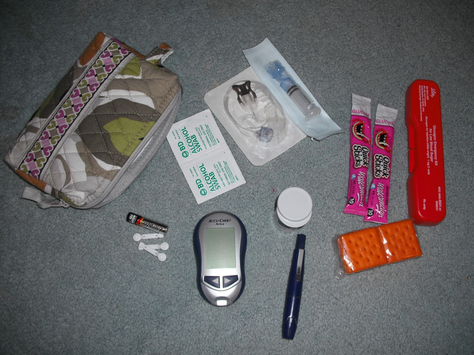 Living&Loving My new Diabetes supply case.