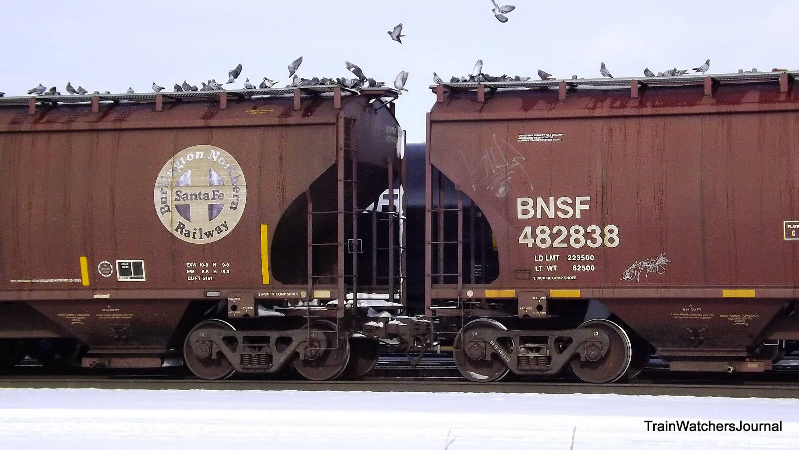 Trainwatchersjournal World S Biggest Bird Feeder