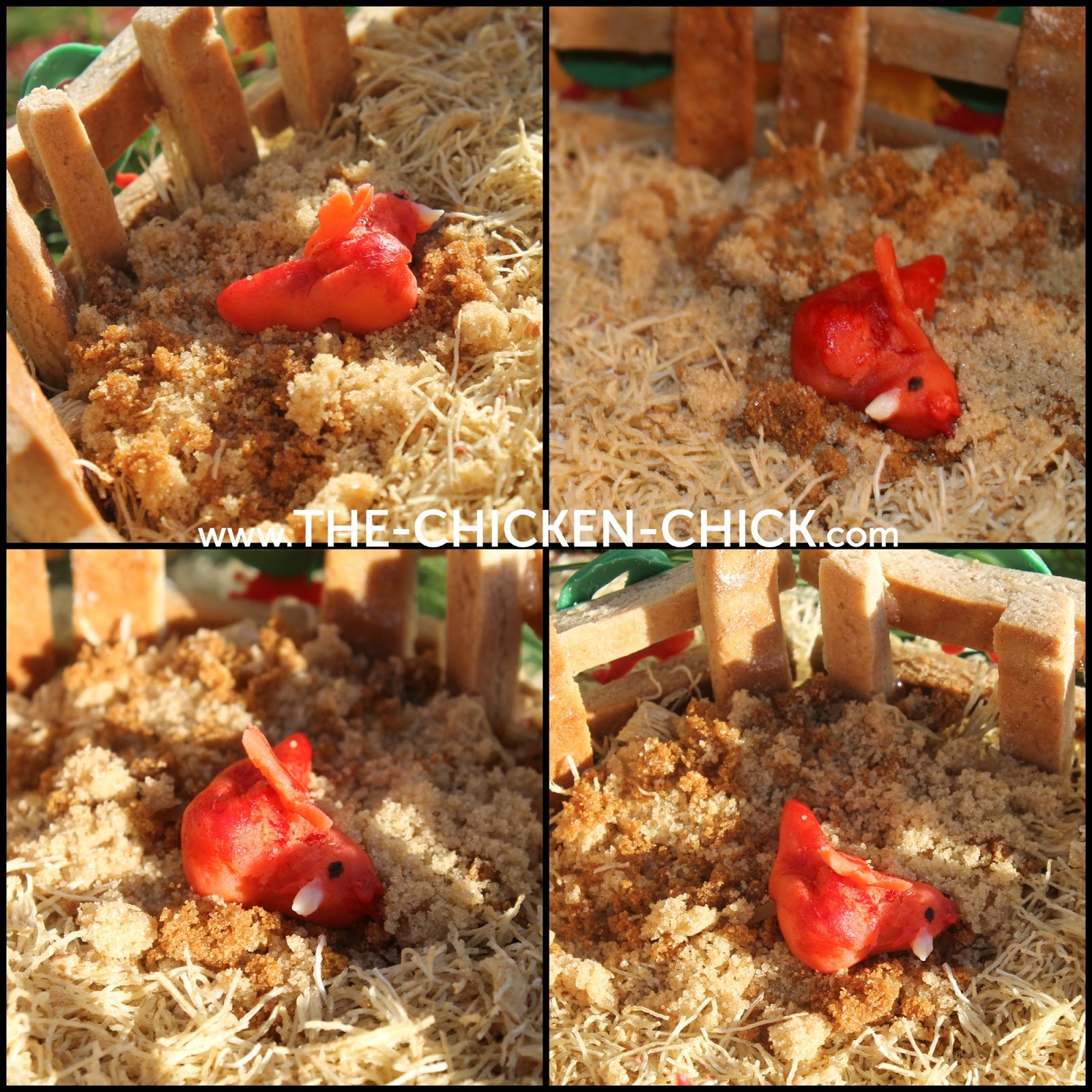 Gingerbread Chicken Coop Instructions with Video Tour! The Chicken Chick®