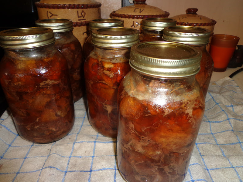 Canning Meat ( Elk, Beef, Venison, Chicken etc.) Frugal Living on the