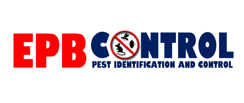 Bed Bugs London | Bedbug Pest Control Treatments | East London Based