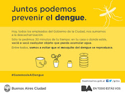 Los chicos de 6º en campaña contra el Dengue