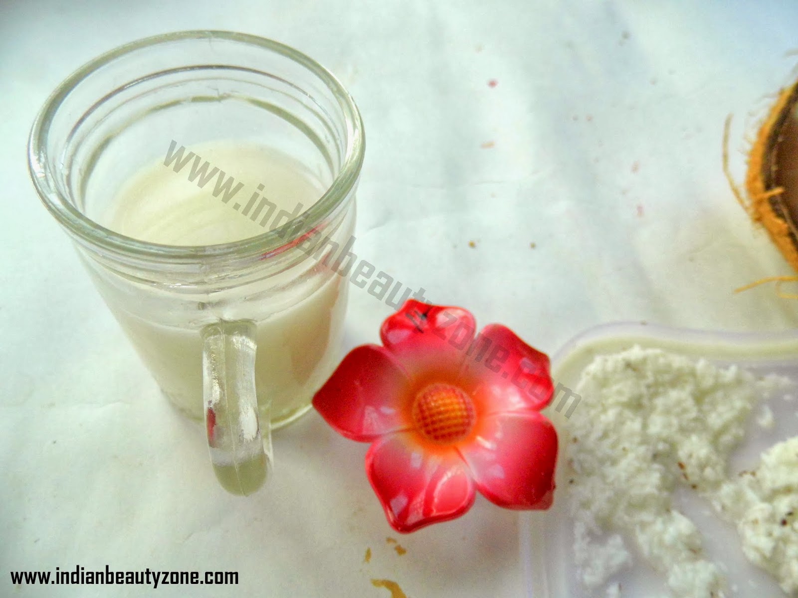 Indian Beauty Zone Coconut Milk and Scrub DIY for winterDry Skin's