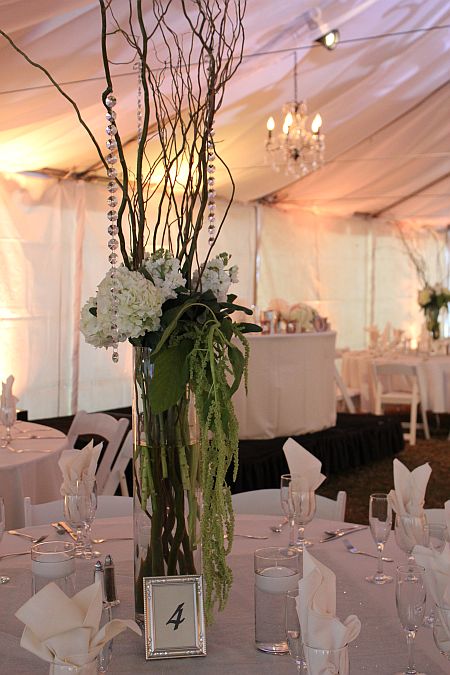 Julie Kay Rides Her Step-fathers Giant Cock - Brown Bunnies