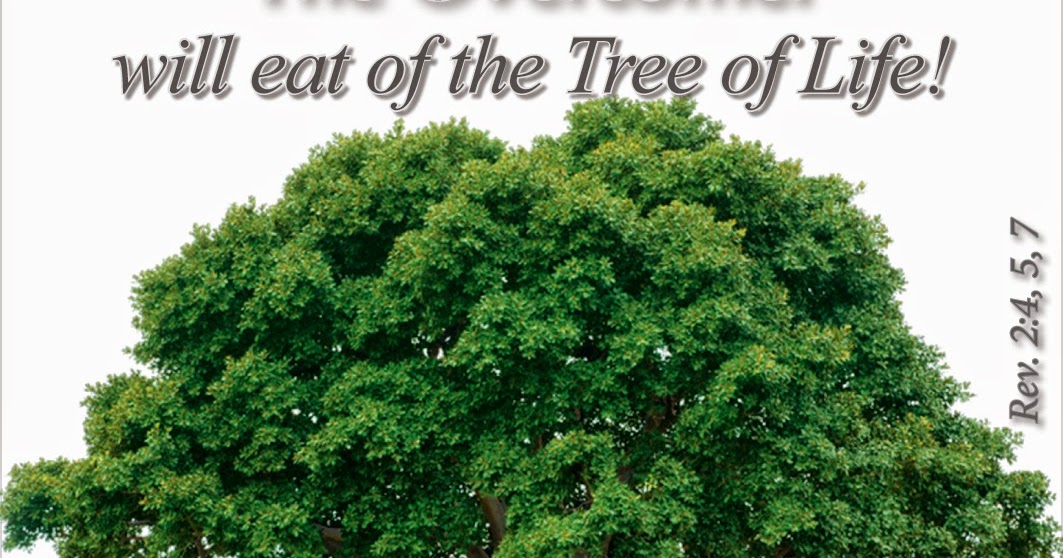 Treasures for Heaven Consider the He Shall Eat of the Tree