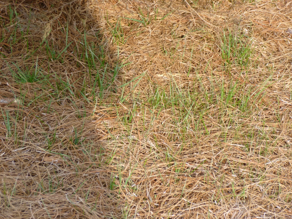 Binero bhotell vänligast på webben