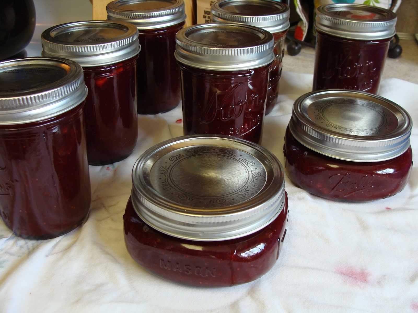 Every Day is a New Day Strawberry Rhubarb Vanilla Bean Jam