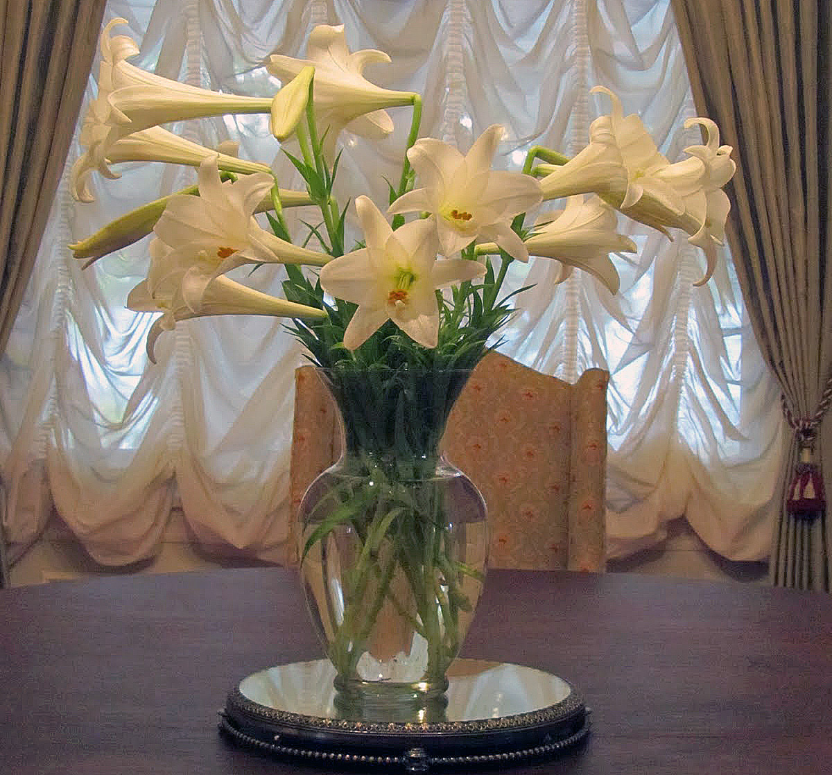 Shannon's Shanonigins Spring with Fragrant Flowers