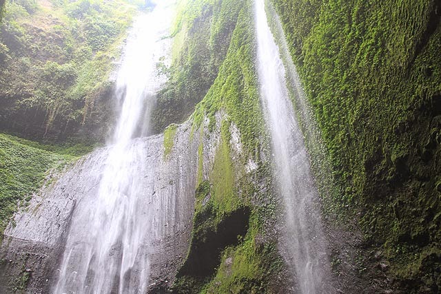 Air terjun madakaripura Air terjun madakaripura
