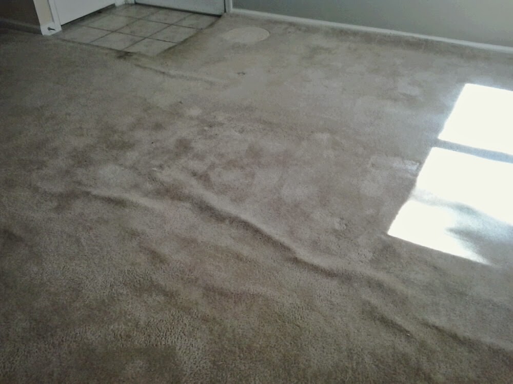 AAA MR MIKE CARPET Carpet Repair and Installation