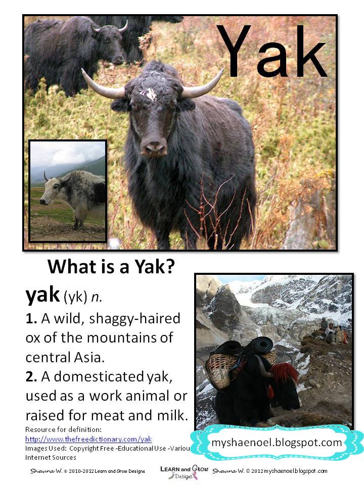 Learn and Grow Designs site Y is for Yak, See the Yak Yak book.