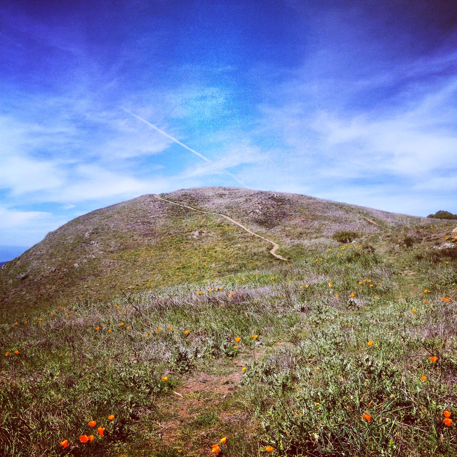 GOLDEN DREAMLAND Favorite Hike Mount Tamalpais