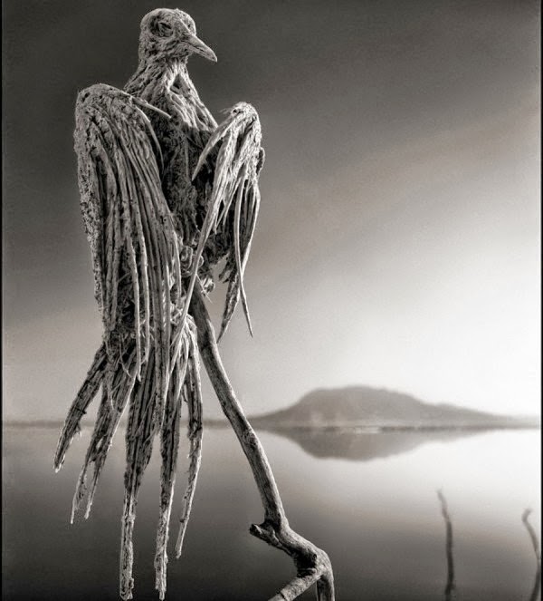Η λίμνη του θανάτου, που ότι την ακουμπάει του ρουφάει τη ζωή   Δείτε συγκλονιστικές εικόνες που κόβουν την ανάσα [pics]