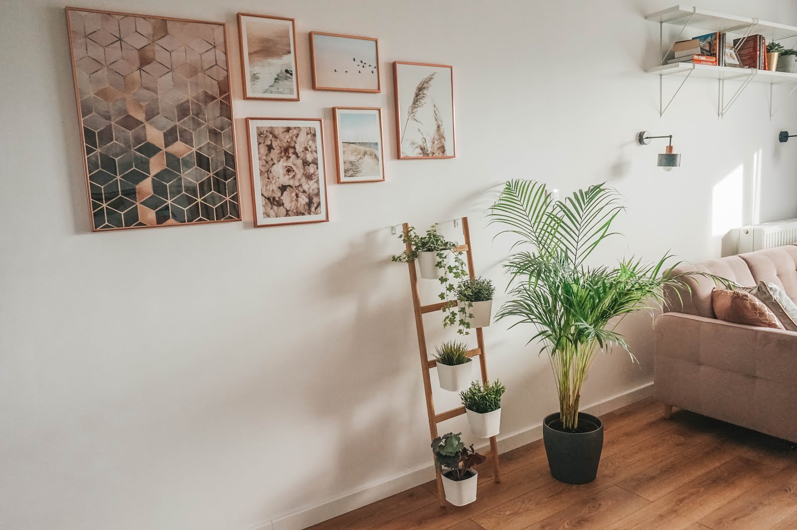 salon-galeria-scienna