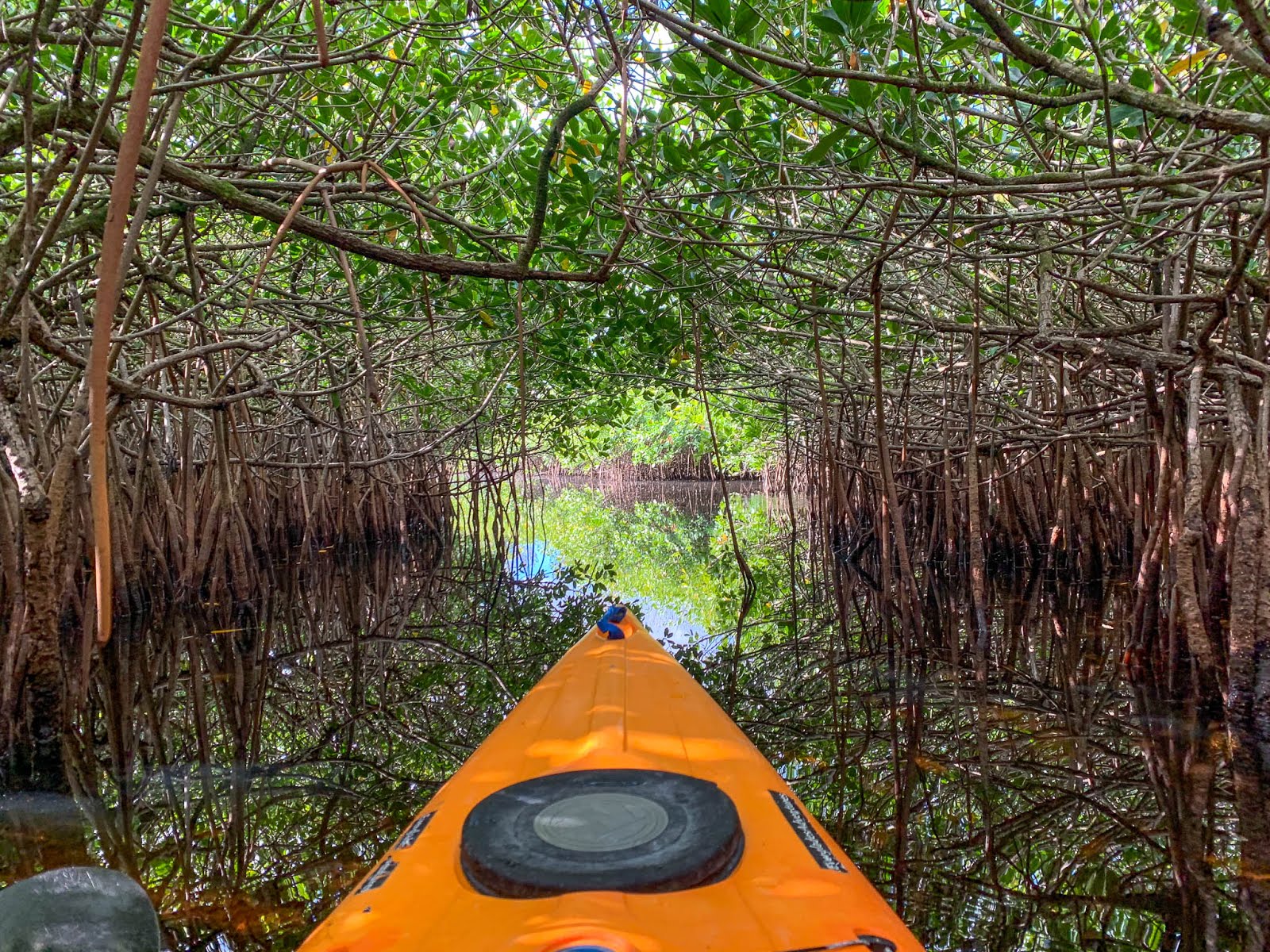 Paddling the Turner River in the Florida Everglades! First Church of