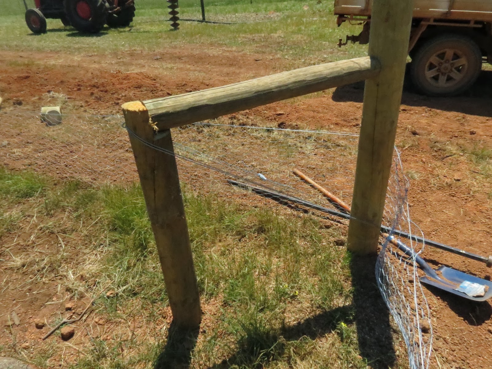 Pretending to Farm Building a Fox Proof Chicken Coop