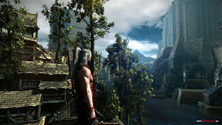 The Witcher 2: Assassins of Kings go game 5