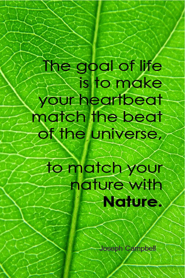 visual quote - image quotation for Nature - The goal of life is to make your heartbeat match the beat of the universe, to match your nature with Nature. - Joseph Campbell