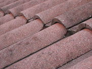 Roof Tile