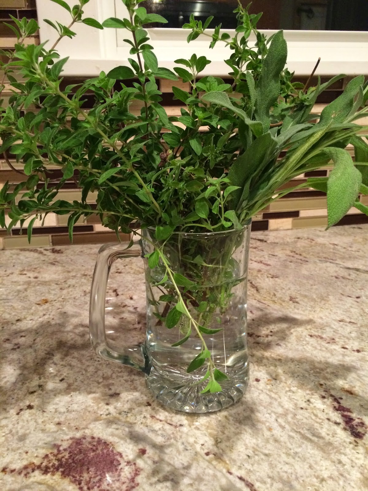 Project Refurb 5 Steps To Make Your Own Dried Oregano