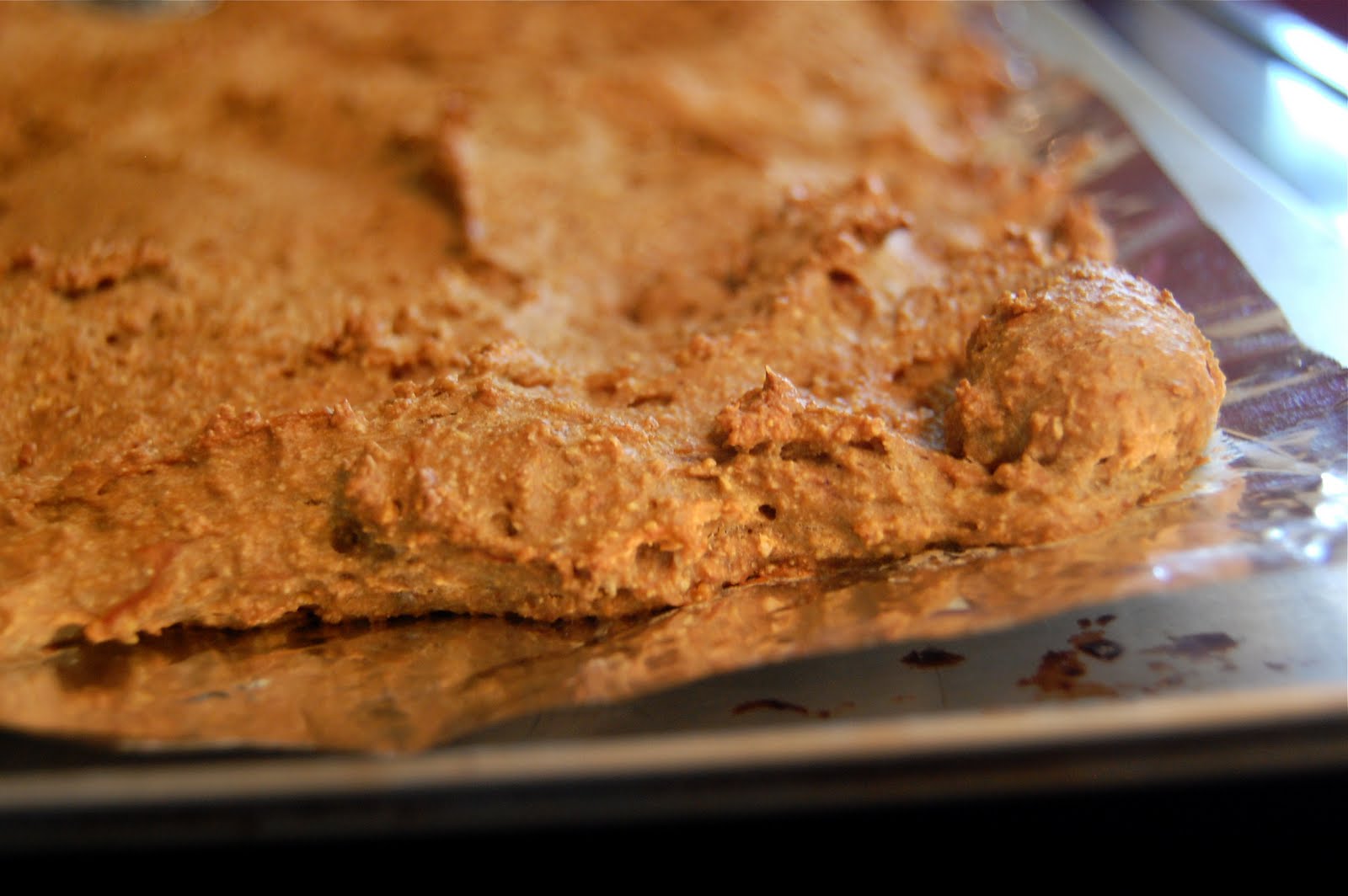 BrookStina Domestic Liver Bread Recipe (with mouthwatering photos!)