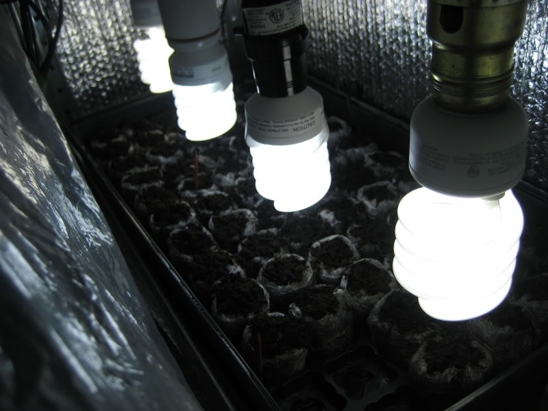 Cultivate Yourself Fluorescent Grow lights Tube vs. CFL