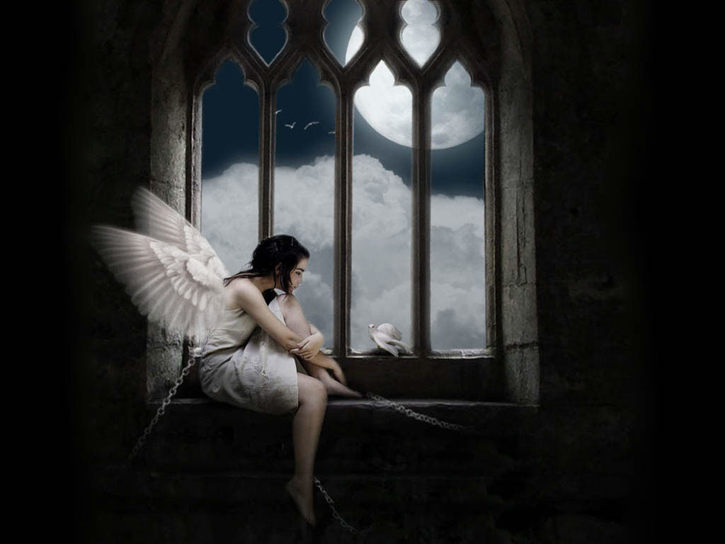 Download All Pictures Free: 3D Angels Wallpapers And Images 2013