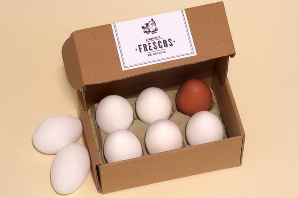 egg packaging design