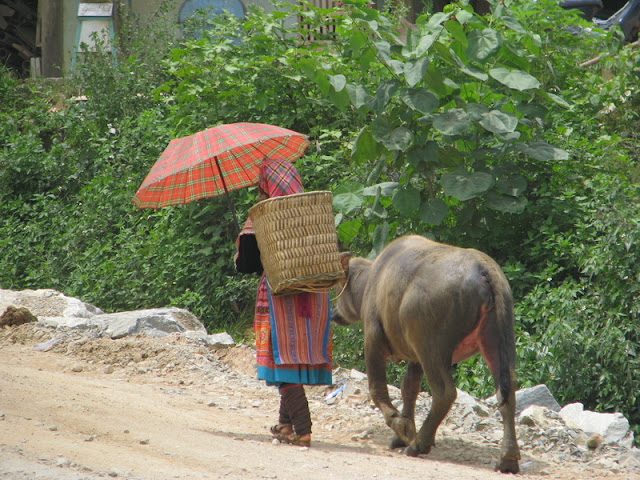 Travel Vietnam Blog