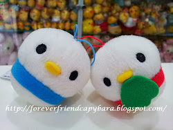 CLICK on Photo to see CUTE Moicho Bird Collections