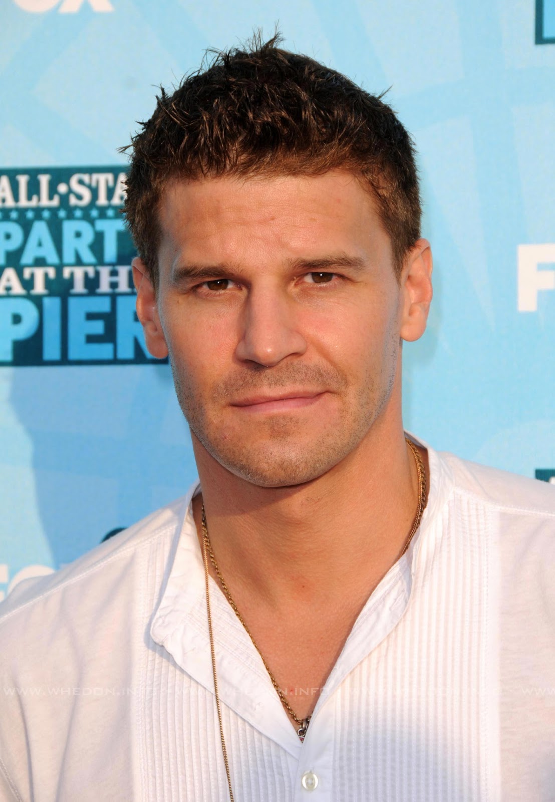 Hollywood Celebrities David Boreanaz Photos