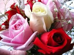 Maroc dating chat zawaj 2