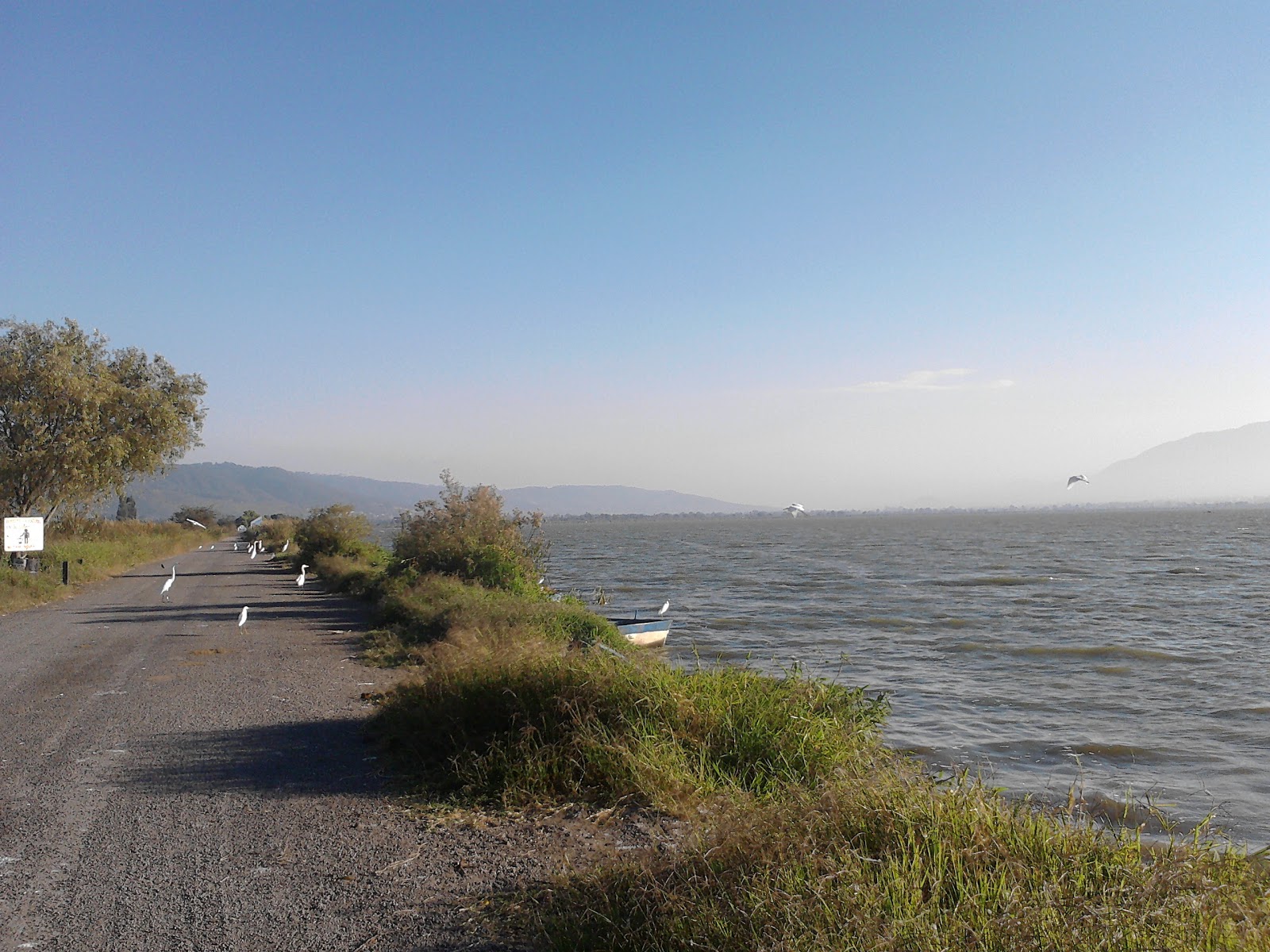 GOMEZ FARIAS ADVENTURE GOMEZ FARIAS JALISCO