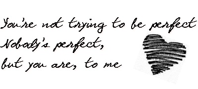 You're not trying to be perfect. Nobody's perfect, but you are, to me!