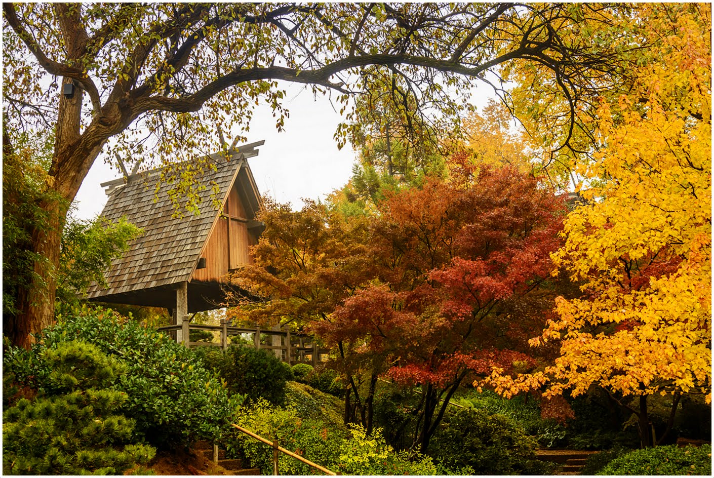 Cathy & Ron's Gallery: Fort Worth Japanese Garden