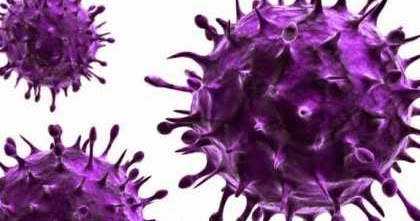 FISIKA DAN YANG LAIN (siduldobah): cara hidup virus