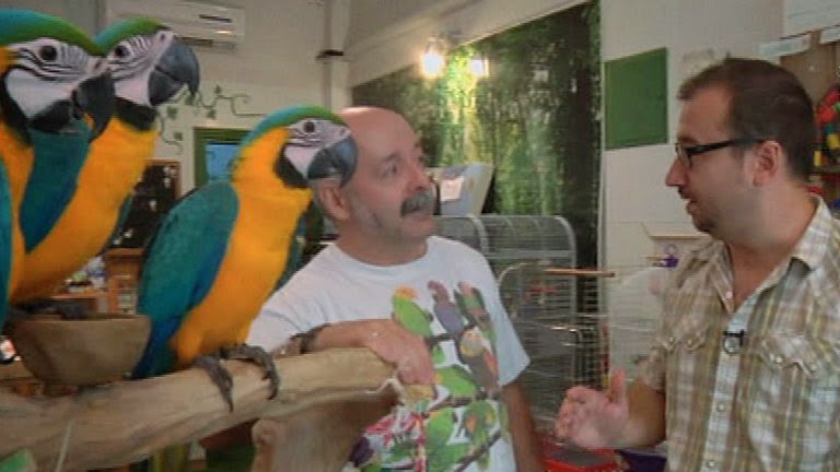 Diferentes loros. Chistes de animales
