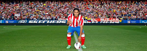 Falcao