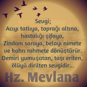 sevgixx.jpg