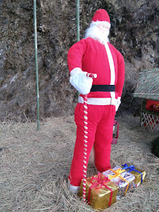 Festive decorations in Longwa village of Nagaland