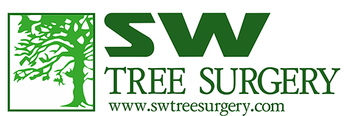 S.W. Tree Surgery