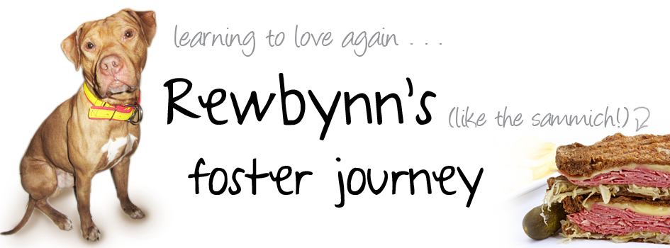 Learning to love again, Rewbynn's foster journey